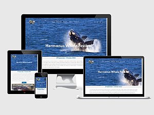 hermanus_whale_festival_1665752421.jpg