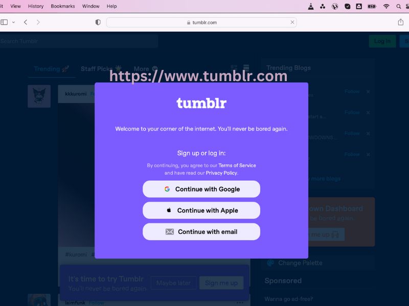 Log in, Tumblr