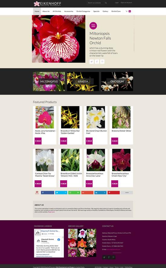 eCommerce website design