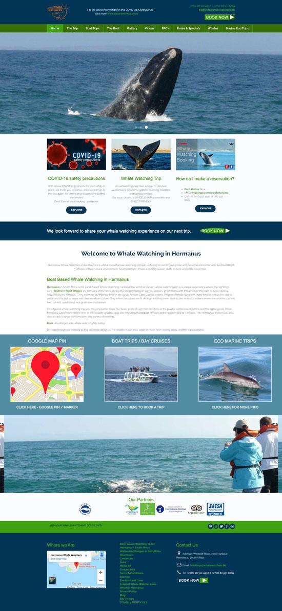 whale watching website design