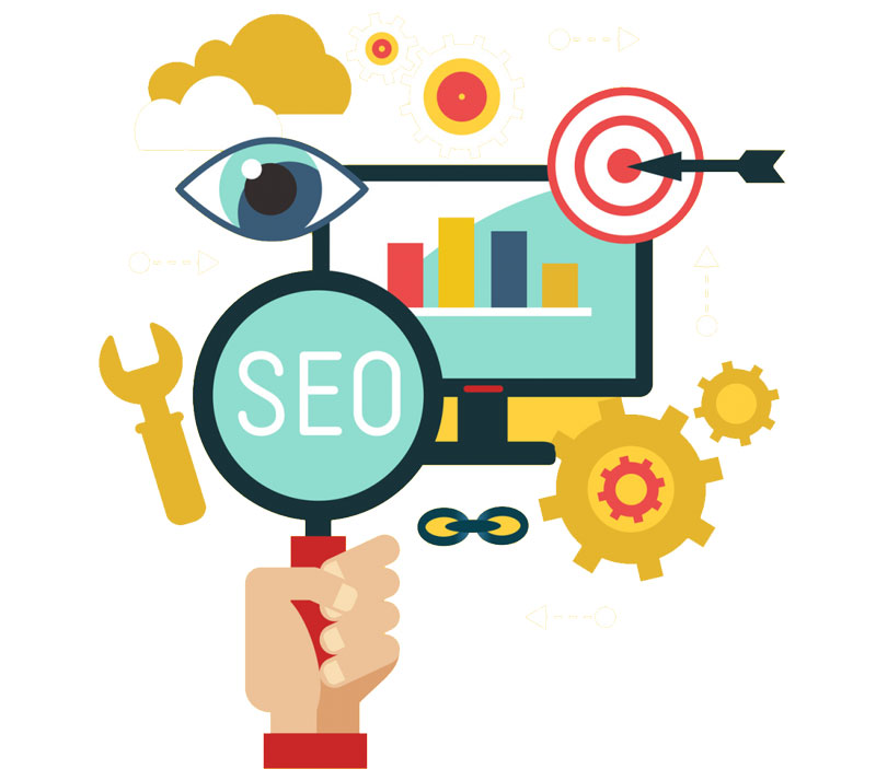 search engine optimization d800