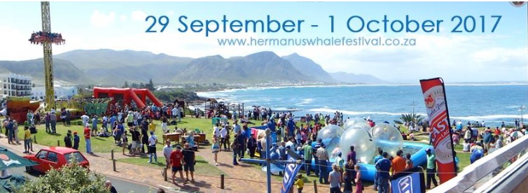 hermanus whale festival 2017