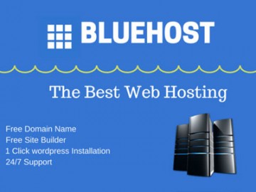 Bluehost is one of the best hosting companies