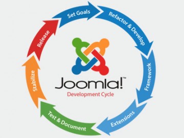 We are a full-fledge Joomla website design company.