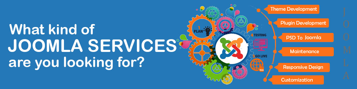 Do you need Joomla Web Services?