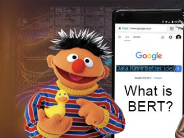 BERT the latest Google Algorithm Explained - 2019